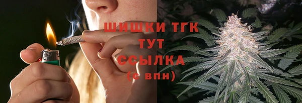 тгк Бронницы