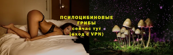 прущие грибы Богданович