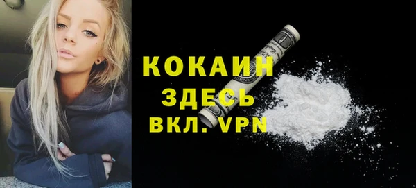 ALPHA PVP Богородицк