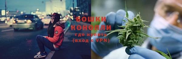 ALPHA PVP Богородицк