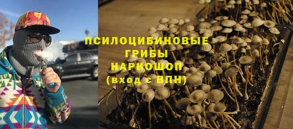 прущие грибы Богданович