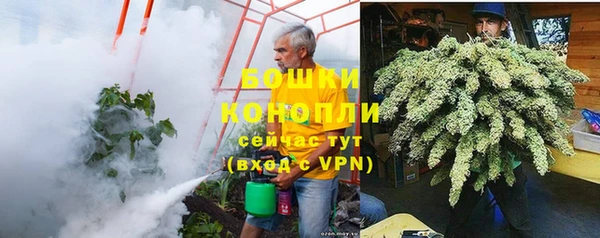 ALPHA PVP Богородицк