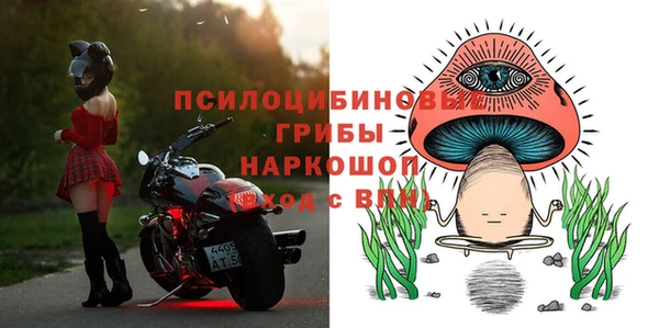 прущие грибы Богданович