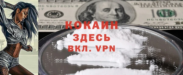 прущие грибы Богданович