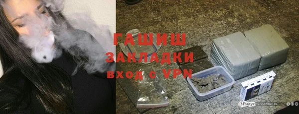 прущие грибы Богданович