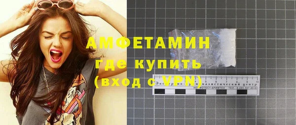 прущие грибы Богданович