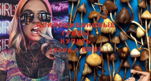 тгк Бронницы